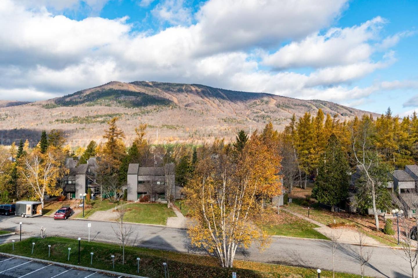 Initial - L'ours - Mont-sainte-anne